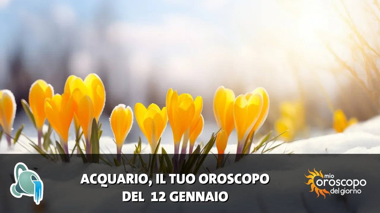 Oroscopo dell'Acquario du lunedì 12 gennaio 2026