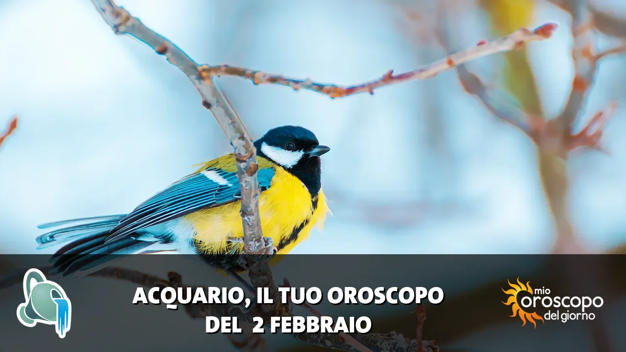 Oroscopo dell'Acquario du lunedì 2 febbraio 2026