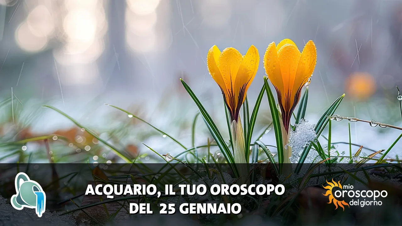 Oroscopo dell'Acquario du domenica 25 gennaio 2026