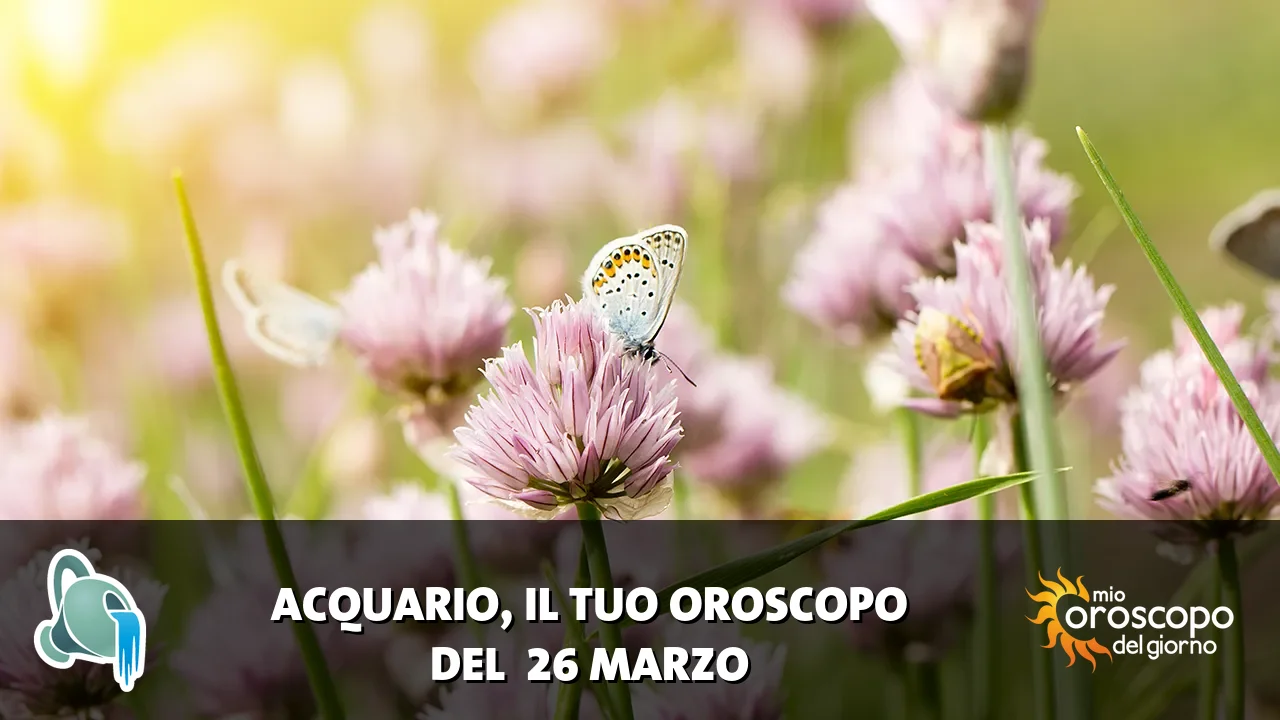 Oroscopo dell'Acquario du giovedì 26 marzo 2026
