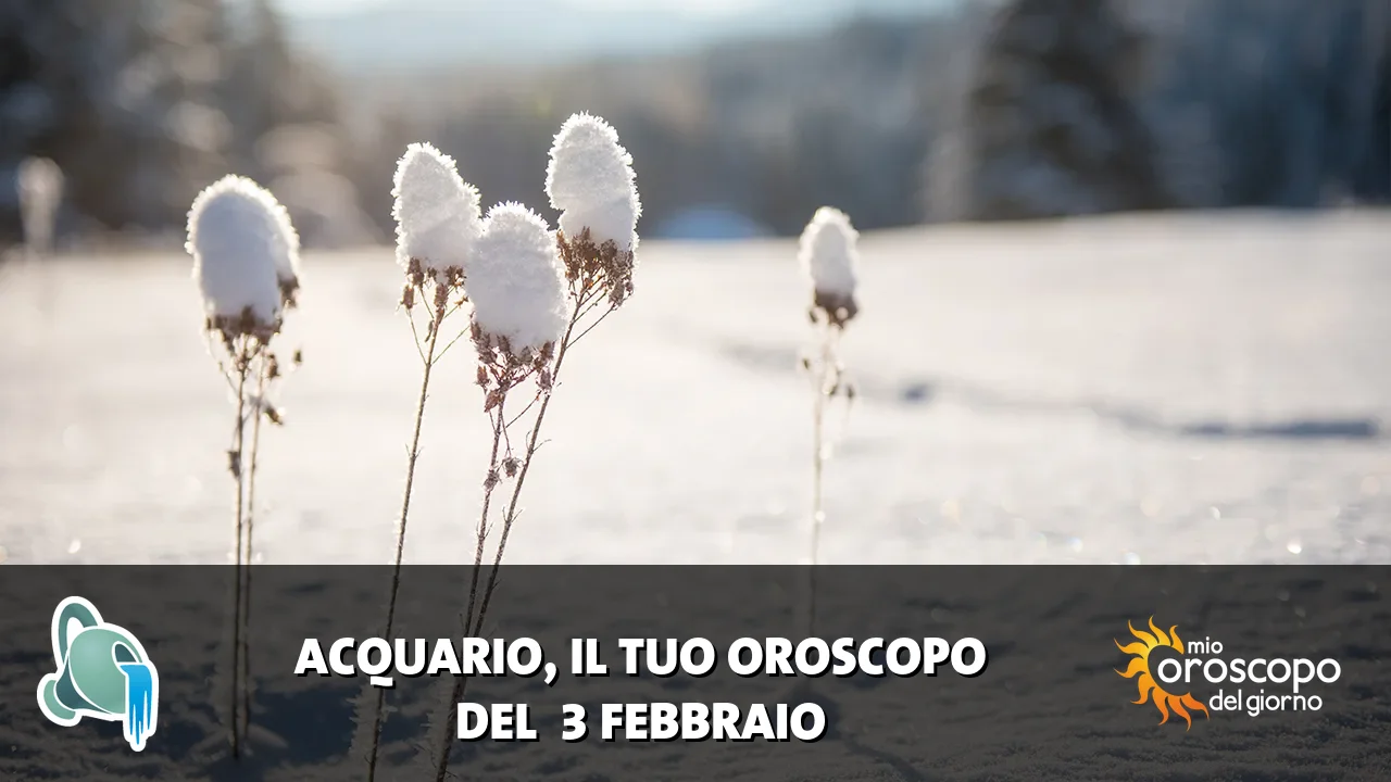 Oroscopo dell'Acquario du martedì 3 febbraio 2026