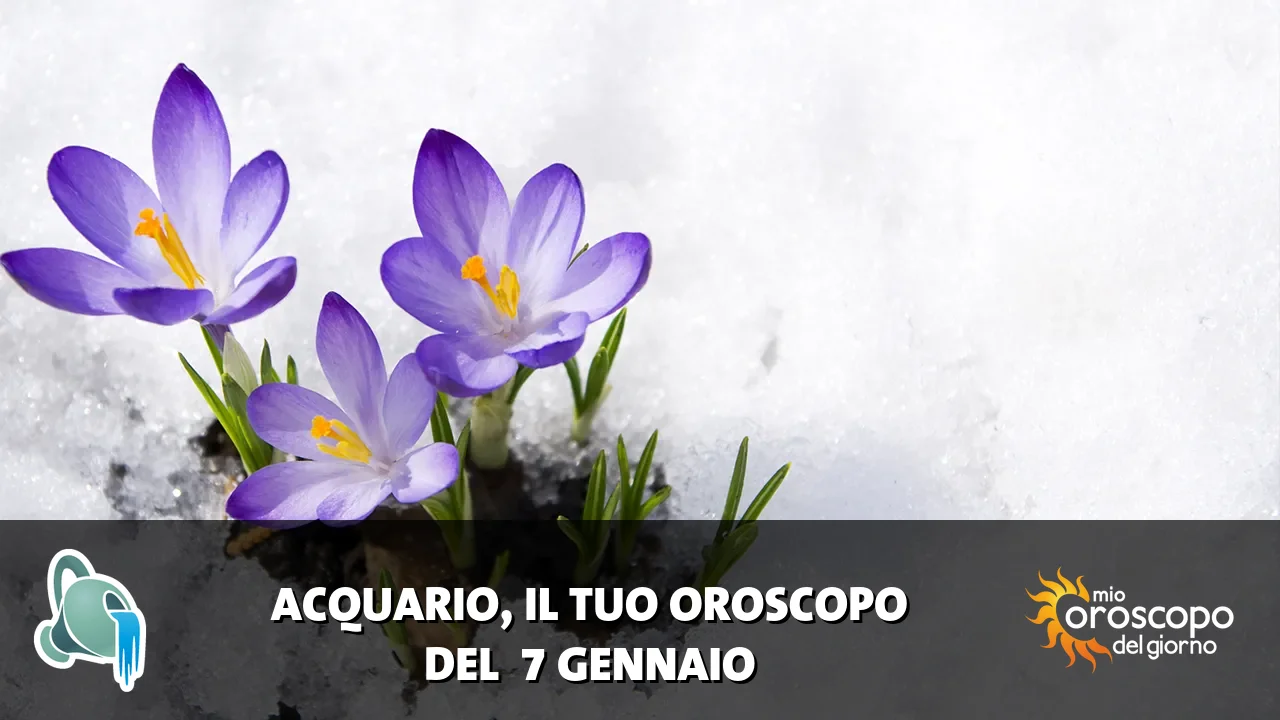 Oroscopo dell'Acquario du mercoledì 7 gennaio 2026