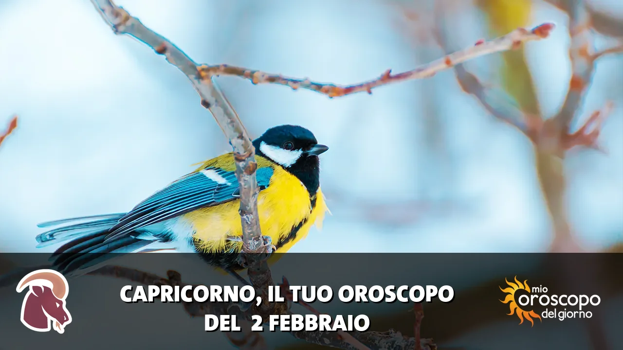 Oroscopo del Capricorno du lunedì 2 febbraio 2026