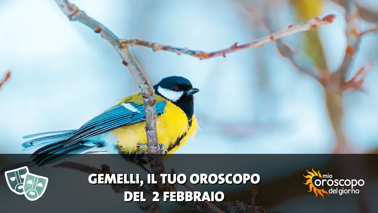 Oroscopo dei Gemelli du lunedì 2 febbraio 2026