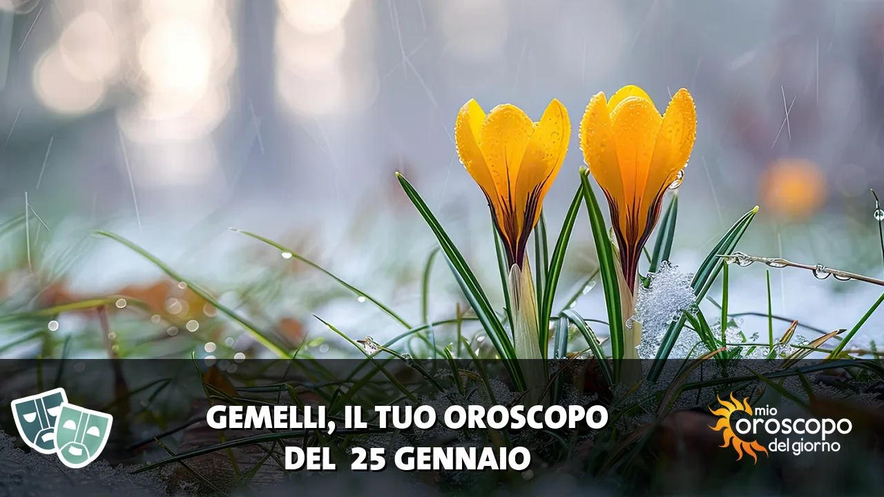 Oroscopo dei Gemelli du domenica 25 gennaio 2026