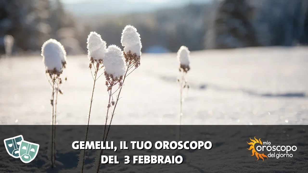 Oroscopo dei Gemelli du martedì 3 febbraio 2026