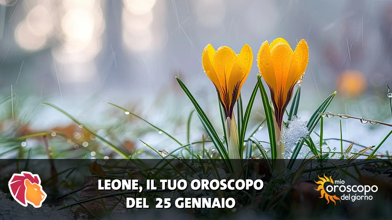 Oroscopo del Leone du domenica 25 gennaio 2026
