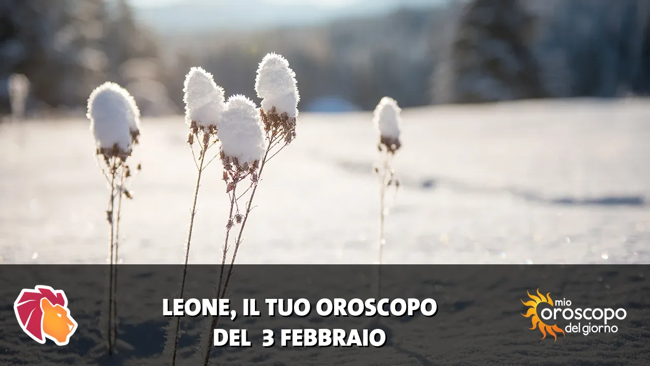Oroscopo del Leone du martedì 3 febbraio 2026