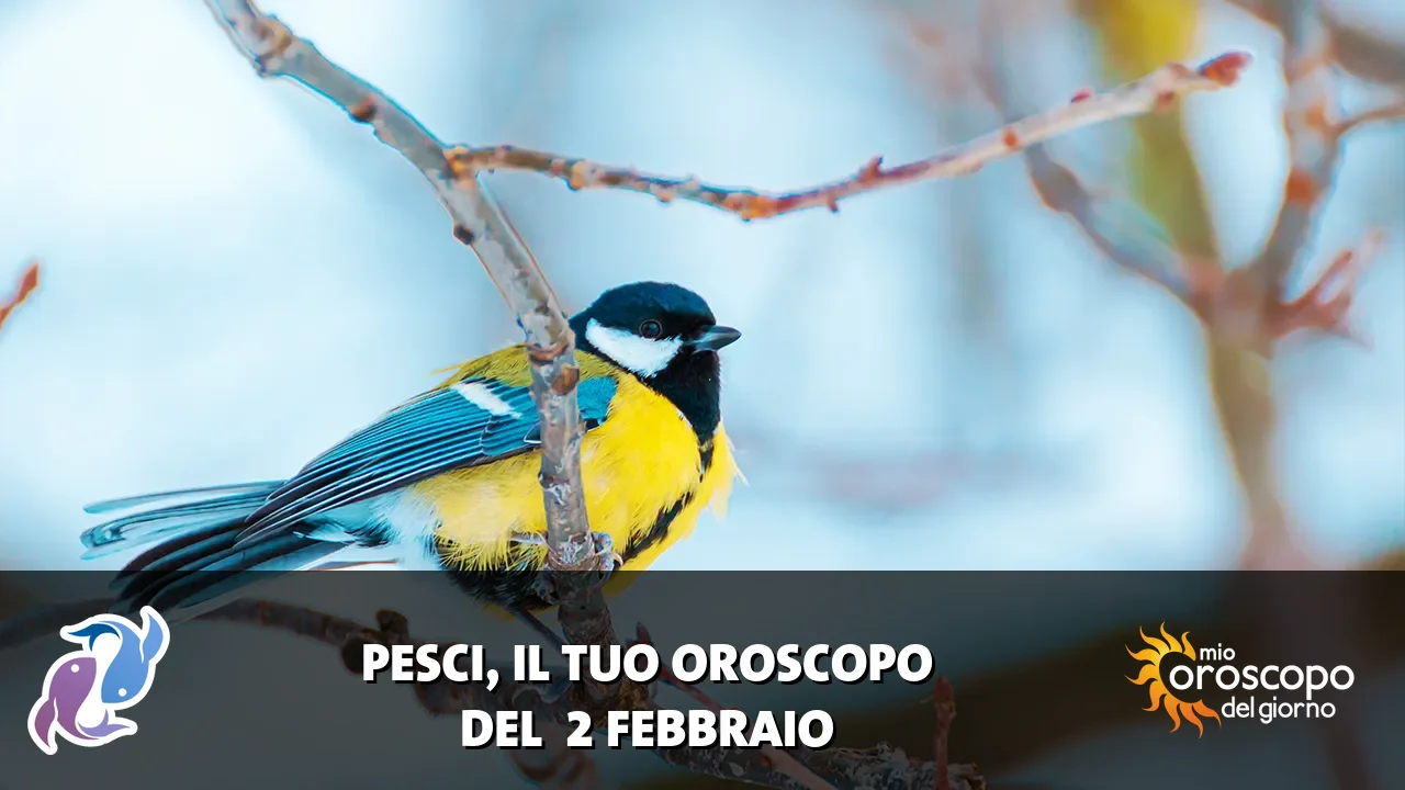 Oroscopo dei Pesci du lunedì 2 febbraio 2026