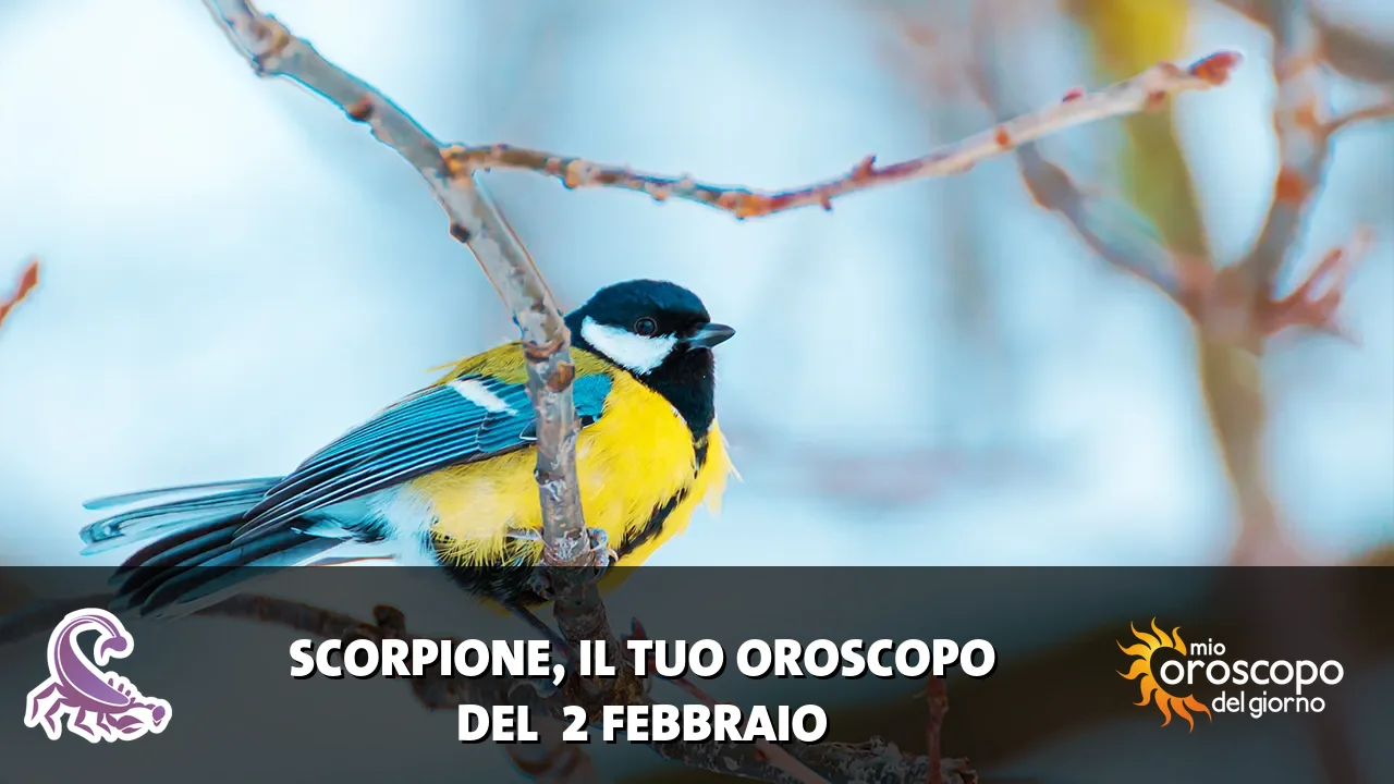 Oroscopo dello Scorpione du lunedì 2 febbraio 2026