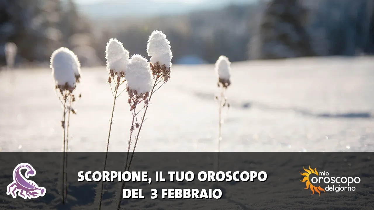Oroscopo dello Scorpione du martedì 3 febbraio 2026