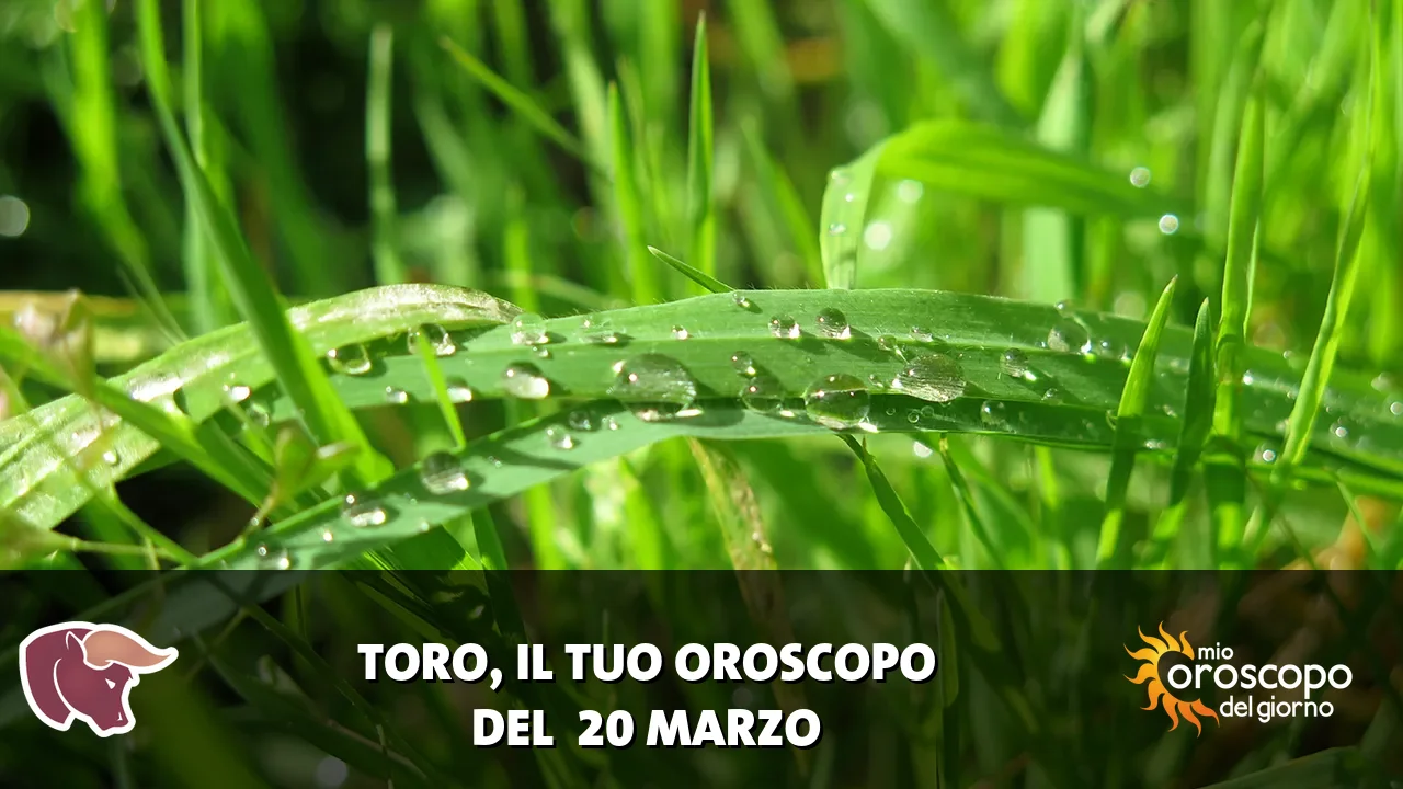 Oroscopo del Toro du venerdì 20 marzo 2026