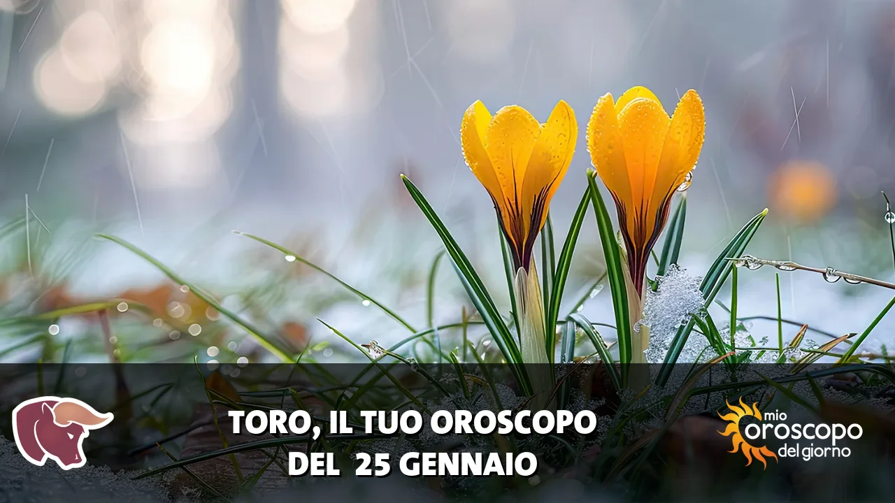 Oroscopo del Toro du domenica 25 gennaio 2026