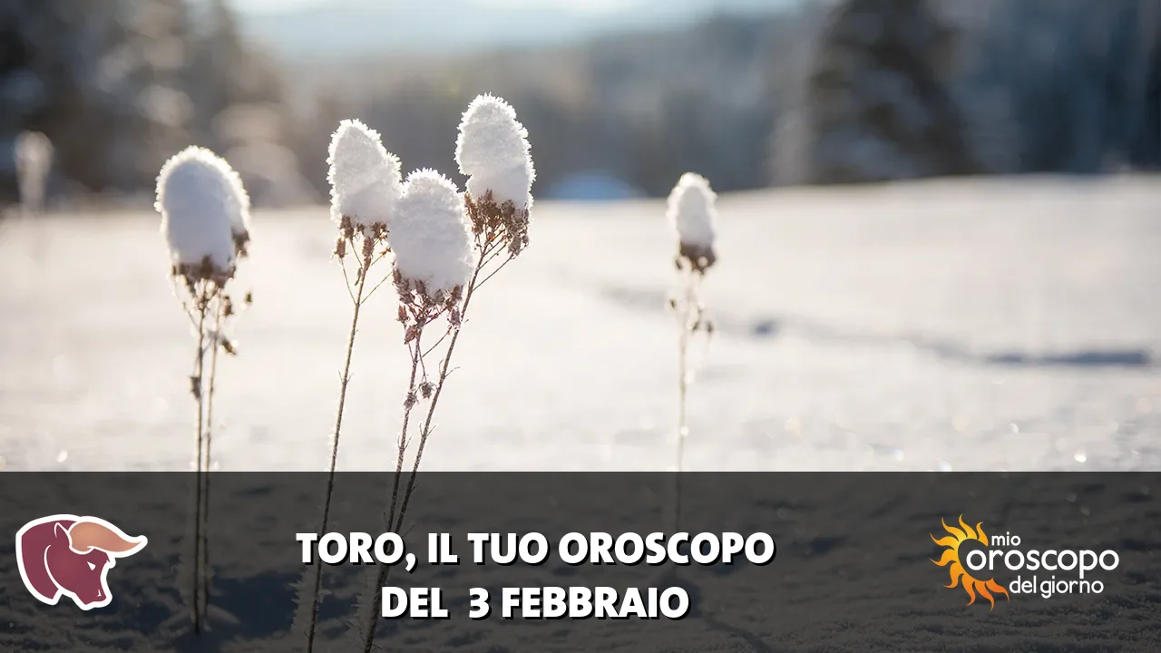 Oroscopo del Toro du martedì 3 febbraio 2026
