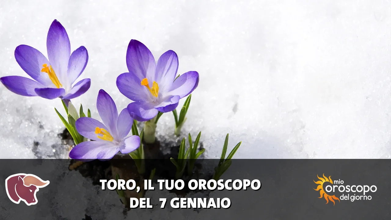Oroscopo del Toro du mercoledì 7 gennaio 2026
