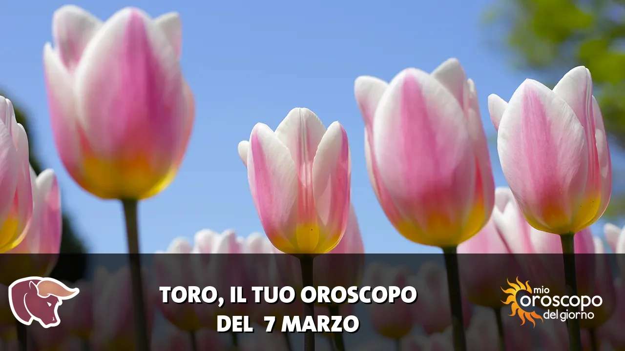 Oroscopo del Toro du sabato 7 marzo 2026
