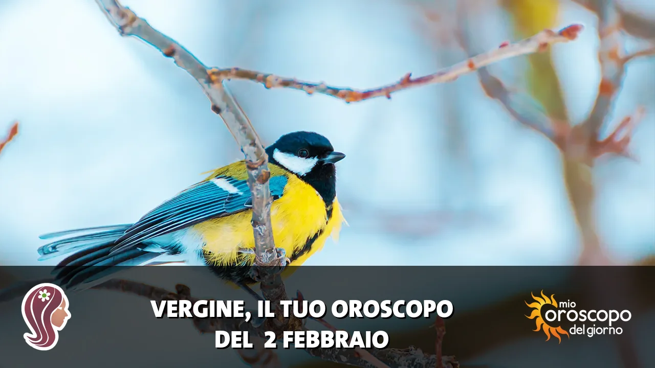 Oroscopo della Vergine du lunedì 2 febbraio 2026