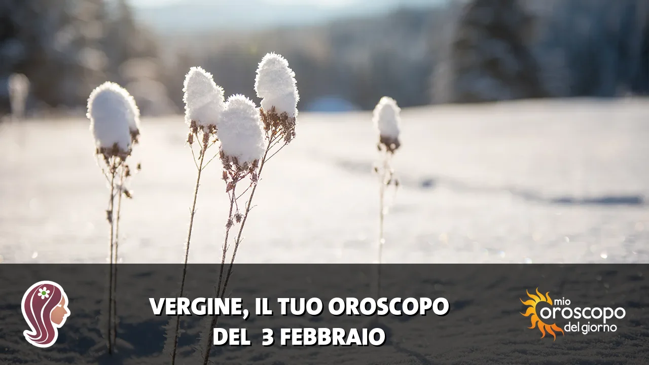 Oroscopo della Vergine du martedì 3 febbraio 2026