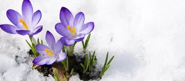 Oroscopo del Mercoledì 7 Gennaio 2026