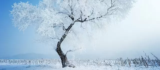 Oroscopo del Venerdì 9 Gennaio 2026