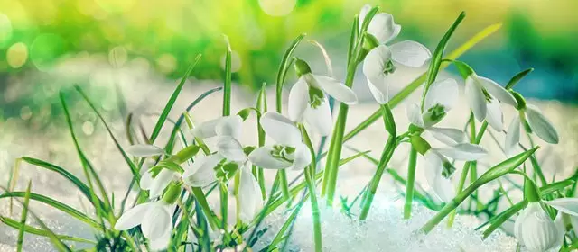 Oroscopo del Lunedi 12 Gennaio 2026