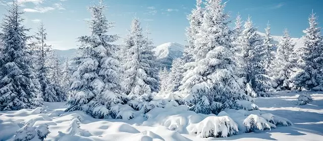 Oroscopo del Sabato 24 Gennaio 2026