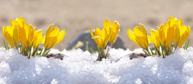 Oroscopo del Domenica 25 Gennaio 2026