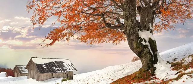 Oroscopo del Sabato 31 Gennaio 2026