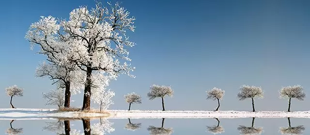 Oroscopo di dicembre 