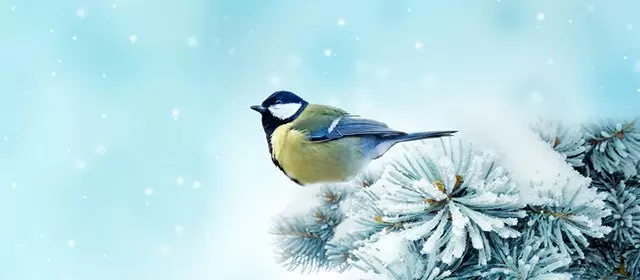 Oroscopo del Lunedi 2 Febbraio 2026