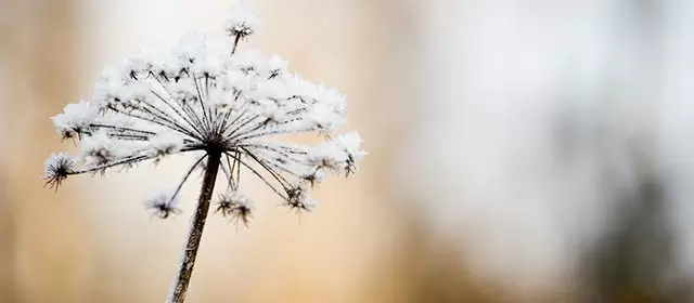 Oroscopo del Martedì 3 Febbraio 2026