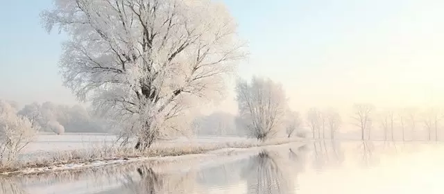 Oroscopo del  Mercoledì 4 Febbraio 2026