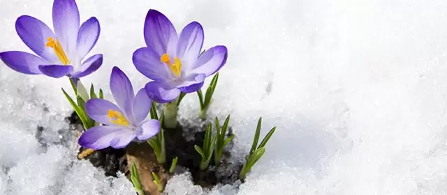 Oroscopo del Giovedi 5 Febbraio 2026