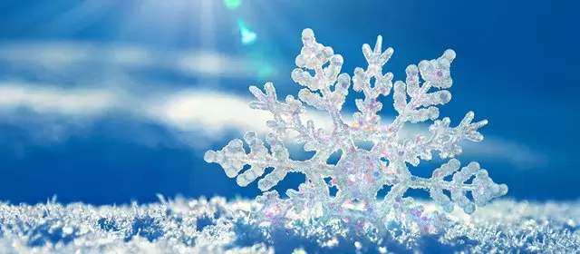 Oroscopo del Sabato 7 Febbraio 2026