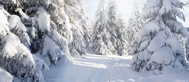 Oroscopo del  Mercoledì 11 Febbraio 2026