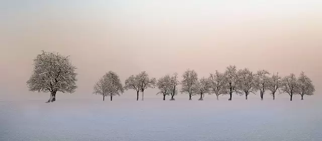 Oroscopo del  Lunedi 16 Febbraio 2026