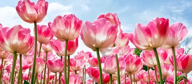 Oroscopo del  Sabato 7 Marzo 2026