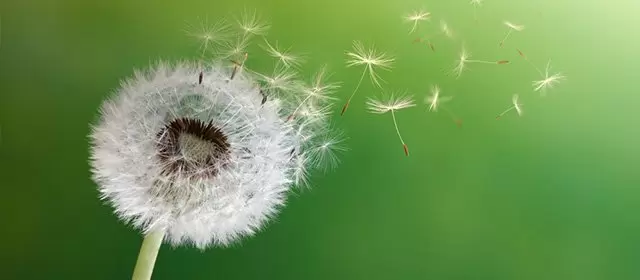 Oroscopo del Mercoledì 11 Marzo 2026