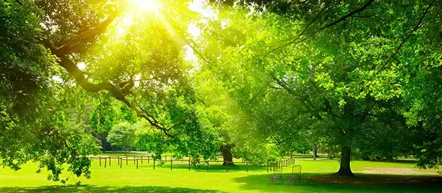 Oroscopo del  Domenica 22 Marzo 2026