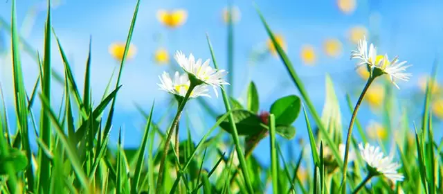 Oroscopo del  Venerdì 3 Aprile 2026