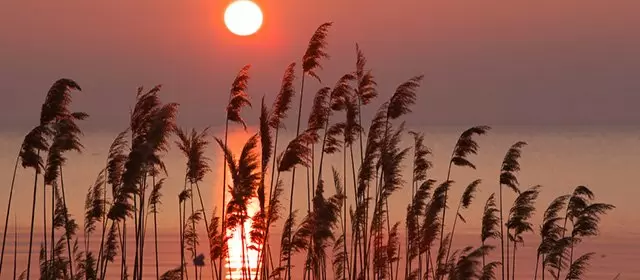 Oroscopo del  Domenica 5 Aprile 2026