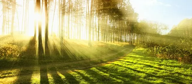 Oroscopo del Martedì 7 Aprile 2026