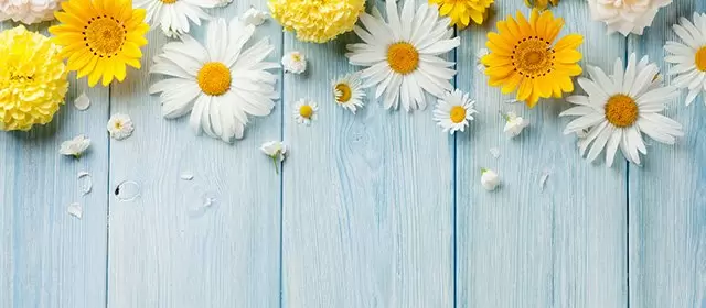 Oroscopo del  Domenica 19 Aprile 2026