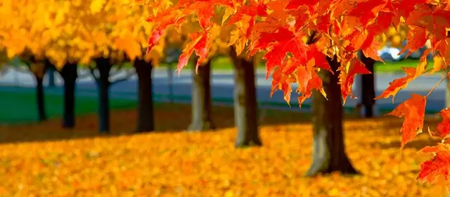 Oroscopo per Giovedi 2 Ottobre 2025