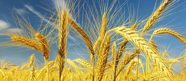 Oroscopo per Lunedi 6 Ottobre 2025