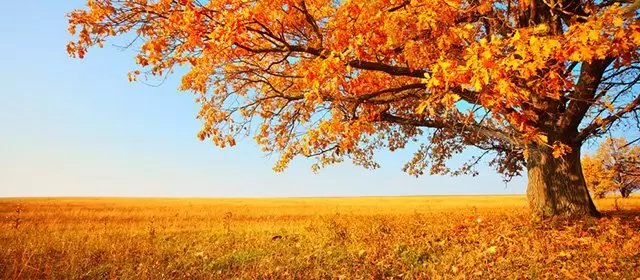 Oroscopo per Giovedi 9 Ottobre 2025