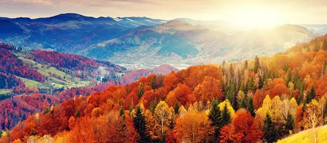 Oroscopo per Giovedi 16 Ottobre 2025