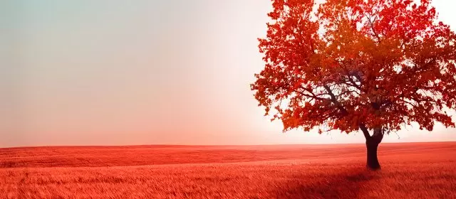 Oroscopo per Venerdì 17 Ottobre 2025