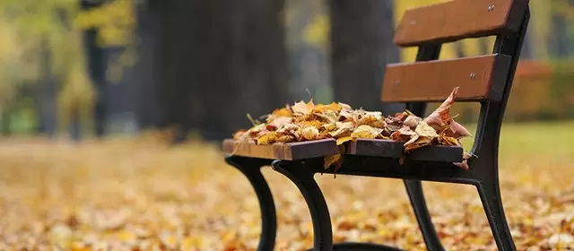 Oroscopo del  Giovedi 23 Ottobre 2025