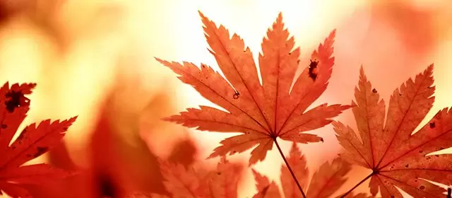 Oroscopo del Sabato 8 Novembre 2025